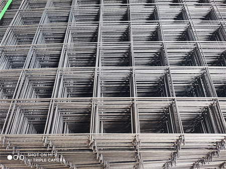 IMG_20201120_154459.jpg IMG_20201120_154459.jpg